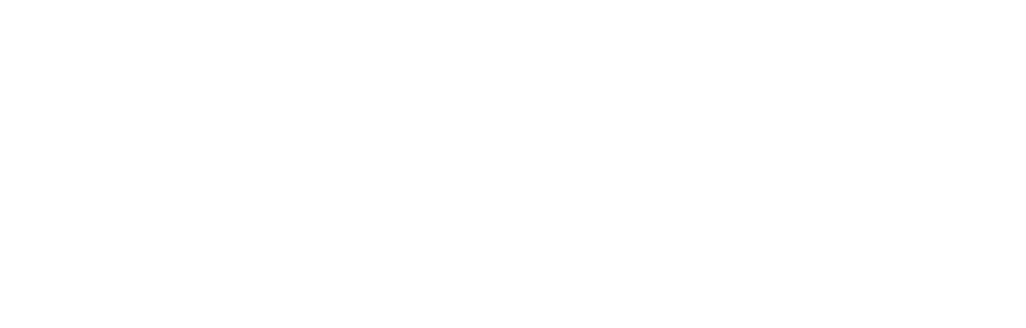 logo in white